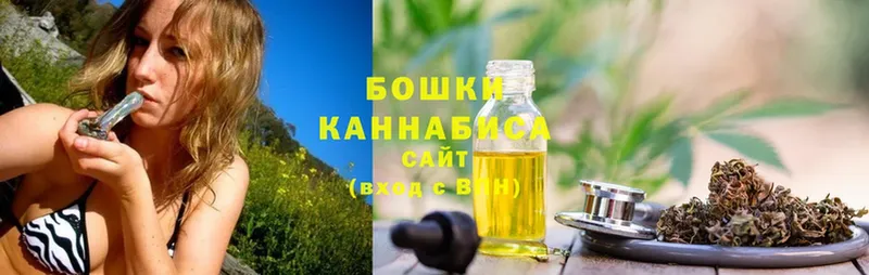 Конопля SATIVA & INDICA  Аркадак 